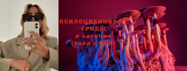стафф Верхний Тагил