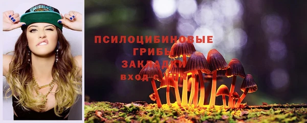 apvp Верея