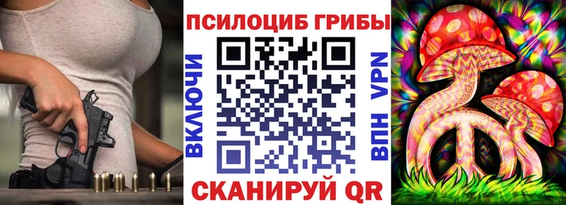 закладка блэк спрут ONION Галлюциногенные грибы Cubensis Карачаевск